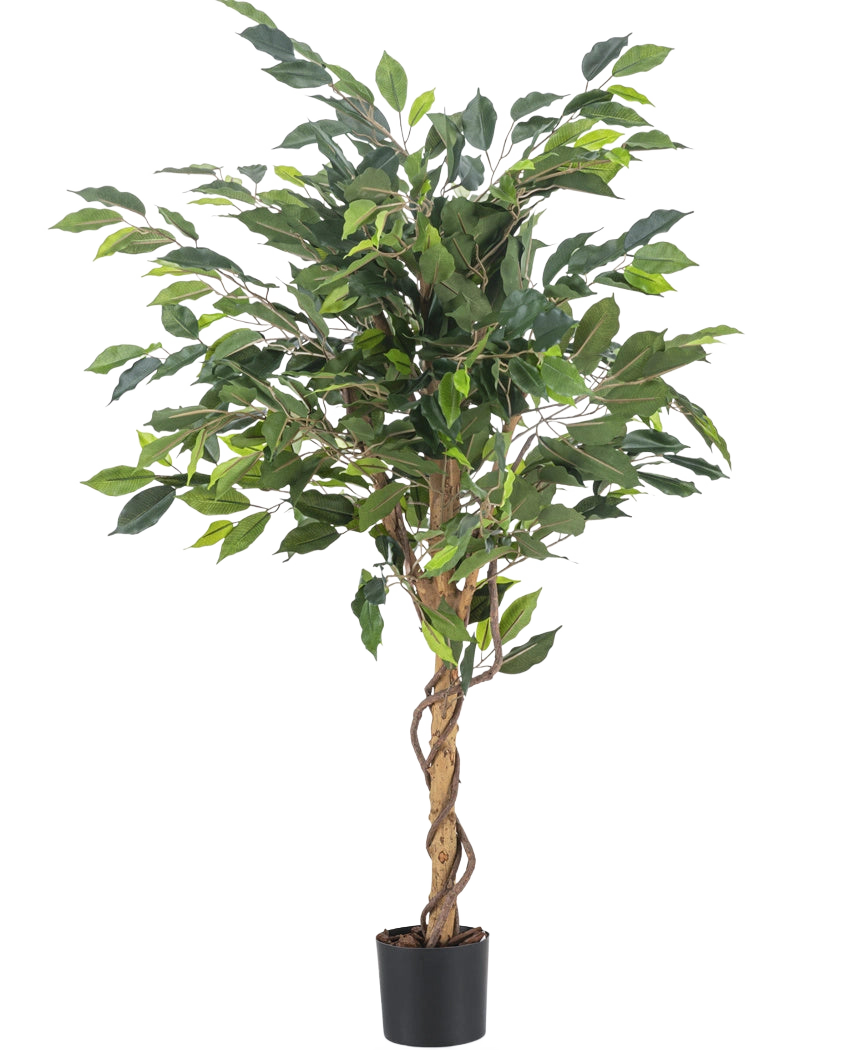 La Plante Artificielle Ficus Vert 120 cm possède des feuilles vertes et une tige torsadée, dans un petit pot noir sur un fond uni blanc.