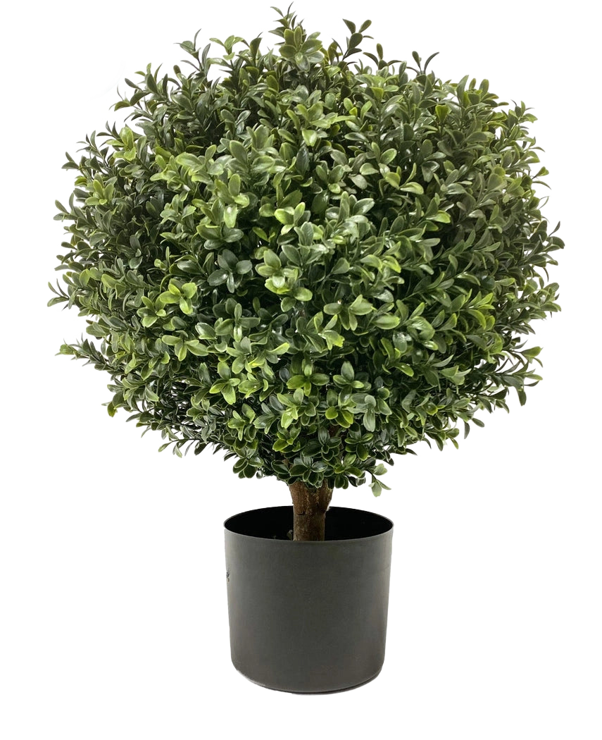 Le Buis Artificiel sur tige UV 40 cm est une forme ronde et touffue verte aux feuilles denses dans un pot simple noir, sur un fond uni blanc.