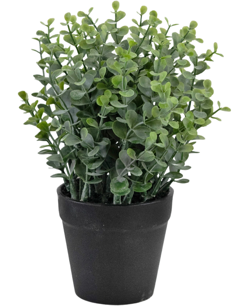 La Plante Artificielle Pumila 23 cm est une petite plante verte en pot avec des feuilles rondes dans un simple pot noir, représentée sur un fond blanc.