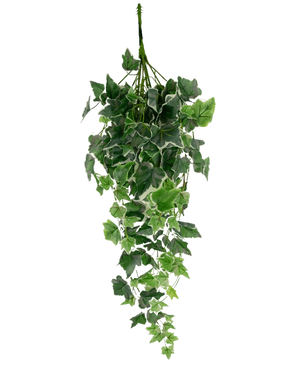 Le Lierre Artificiel 70 cm vert/blanc a des feuilles de lierre artificielles vertes avec des bords blancs, disposées en forme de cascade et disposées sur un fond blanc uni.