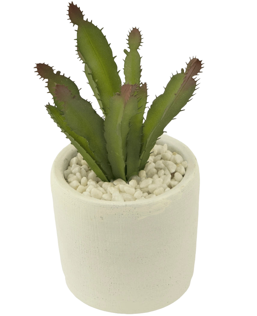 La plante succulente artificielle de 20 cm est une plante succulente verte à pointes rougeâtres dans un pot en céramique blanche rempli de cailloux blancs, représentée sur un fond blanc uni.
