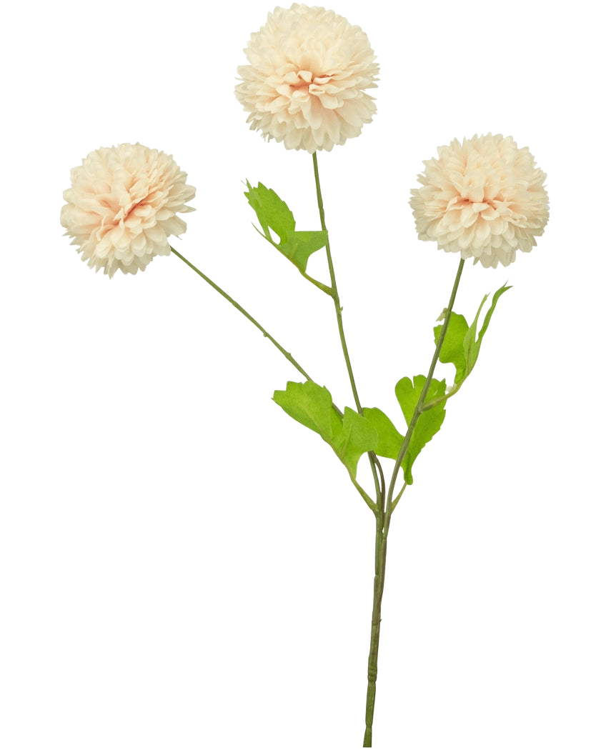 Une fleur artificielle à tige unique Jilly 70 cm rose a trois grandes fleurs de dahlia roses rondes et plusieurs feuilles vertes, sur un fond blanc uni.