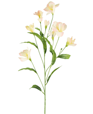 Le rhododendron artificiel azalée Real Touch crème/rose 80 cm a une seule tige verte avec des feuilles ramifiées et minces et de délicates fleurs rose crème, magnifiques sur un fond blanc uni.