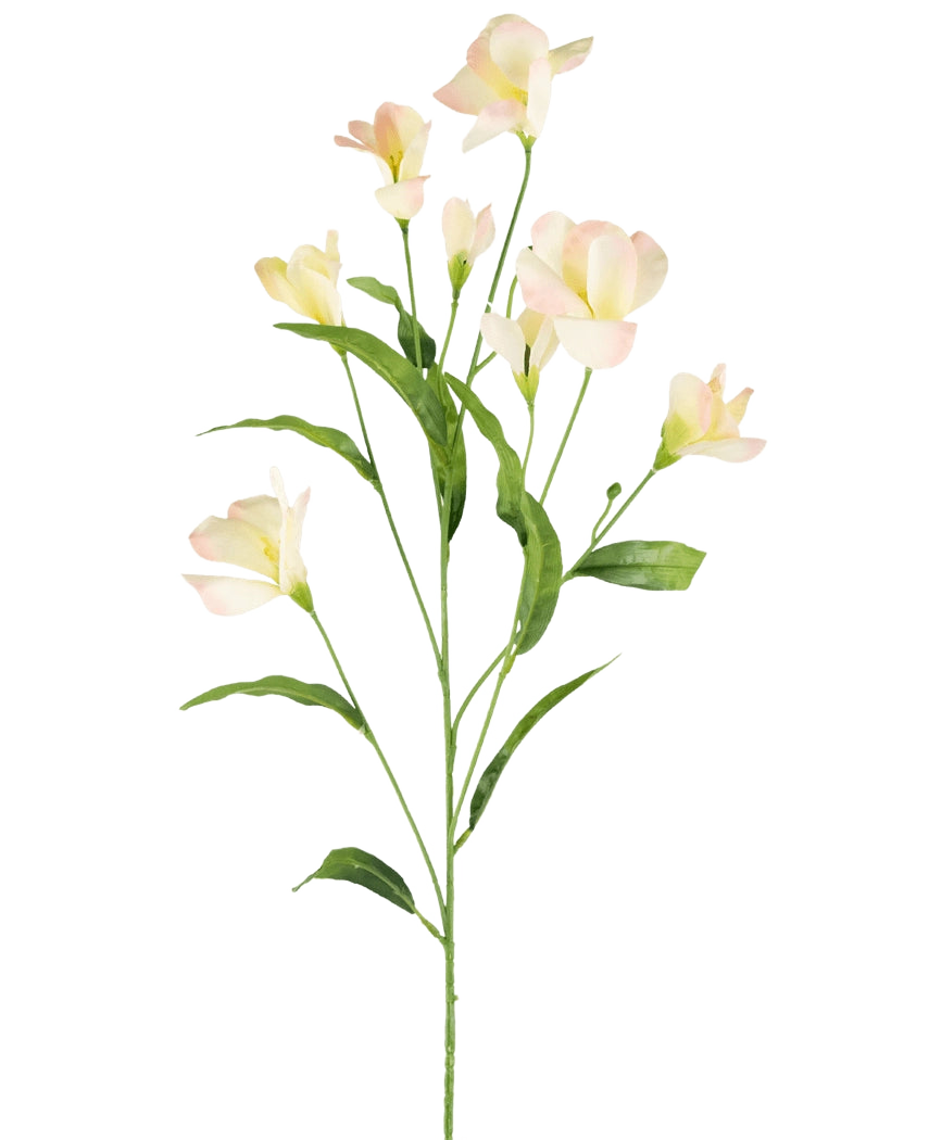 Le rhododendron artificiel azalée Real Touch crème/rose 80 cm a une seule tige verte avec des feuilles ramifiées et minces et de délicates fleurs rose crème, magnifiques sur un fond blanc uni.