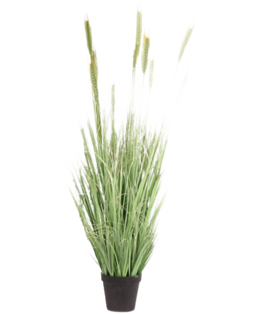Plante de gazon artificiel vert 160 cm ignifuge a des lames longues et fines et des têtes de graines dans un petit pot noir. Idéale comme fausse plante élégante et ignifuge pour n’importe quelle pièce.