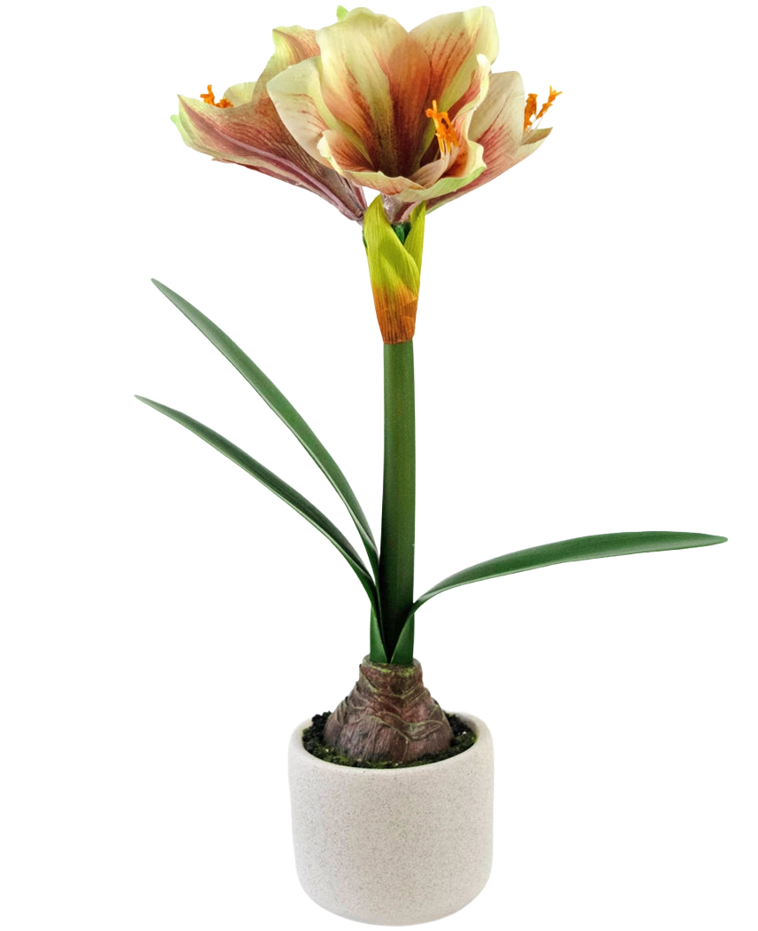 La fleur artificielle Amaryllis Real Touch Rouge/Jaune 48 cm a des feuilles vertes réalistes et une haute tige avec des fleurs rouges et jaunes en forme de trompette, joliment présentées sur un fond blanc.