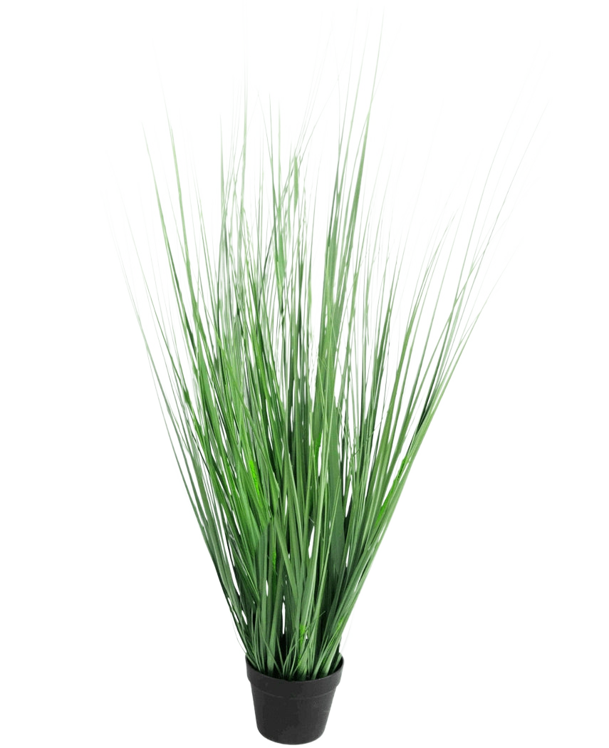 Le Gazon Artificiel Oignon 130 cm ignifuge est une plante graminée ornementale en pot aux feuilles vertes longues et fines, sur un fond uni blanc.