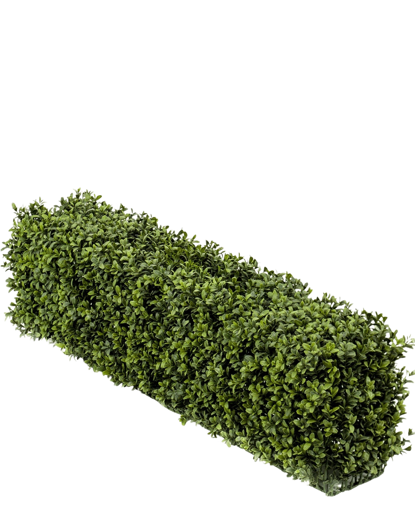 Une haie de buis artificiel UV rectangulaire de 100x20x25 cm présente des feuilles de buis artificiels verts denses sur un fond blanc uni.