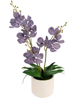 L'Ascocenda artificielle 50 cm violette possède deux tiges de fleurs d'orchidées violettes mouchetées avec des feuilles vertes dans un pot blanc, sur un fond blanc uni.