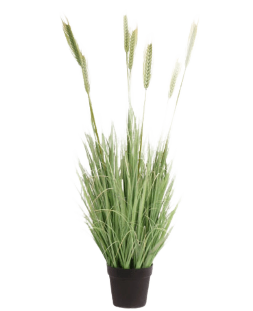 Le Gazon Artificiel Plante Vert 130 cm ignifuge possède de longues feuilles vertes fines et de longues tiges ressemblant à du blé dans un petit pot noir, sur un fond blanc.