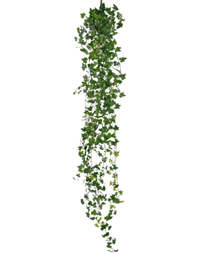 La plante suspendue artificielle Lierre deluxe 180 cm vert est un long lierre artificiel avec de nombreuses petites feuilles vertes, suspendues verticalement sur un fond blanc uni.
