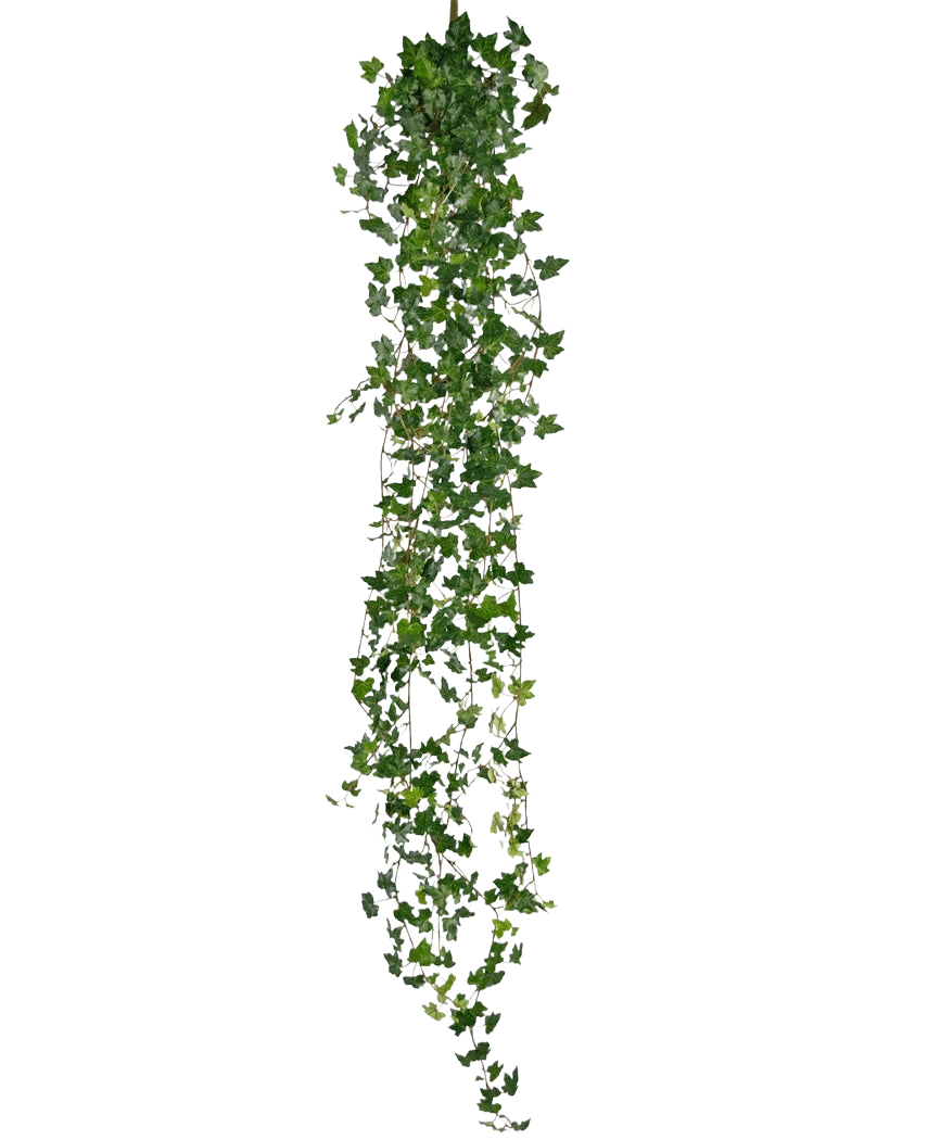 La plante suspendue artificielle Lierre deluxe 180 cm vert est un long lierre artificiel avec de nombreuses petites feuilles vertes, suspendues verticalement sur un fond blanc uni.