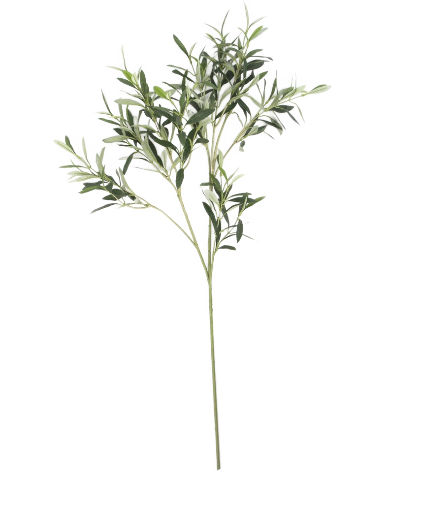 La Feuille d'olivier artificielle 90 cm ignifuge possède de fines feuilles vertes sur une tige longue et fine. Cette feuille artificielle est résistante aux UV et ignifuge et est présentée isolée sur un fond blanc.