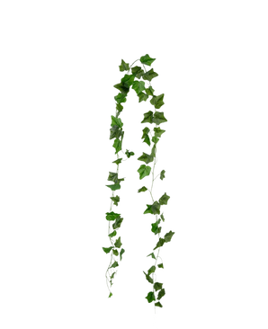 La guirlande de lierre artificiel 180 cm vert est composée de feuilles de lierre vertes pointues qui pendent en deux brins sur un fond blanc uni.