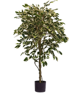 La Plante Artificielle Ficus Panaché 150 cm possède des feuilles colorées vertes et blanches et un tronc torsadé, dans un simple pot noir sur un fond blanc uni.
