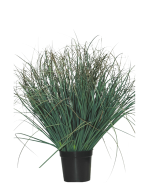 Le gazon artificiel Lawn Green 50 cm ignifuge est une plante verte en pot avec des feuilles longues et fines et quelques pointes brunes sèches, qui donne un aspect naturel à n'importe quelle pièce sur un fond blanc uni.