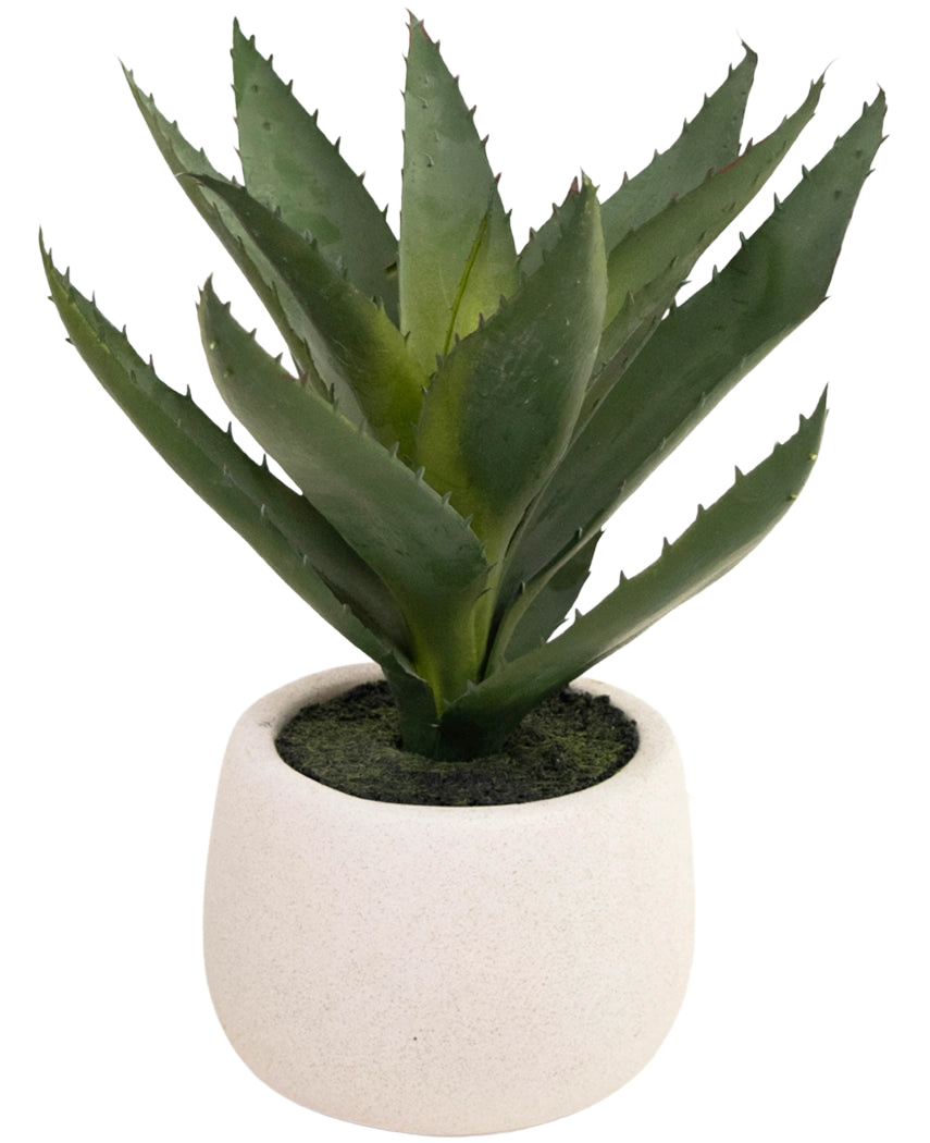 La plante artificielle Aloe Vera 28 cm est présentée dans un pot simple et rond en céramique blanche, avec des feuilles vertes et épineuses réalistes sur un fond blanc uni.