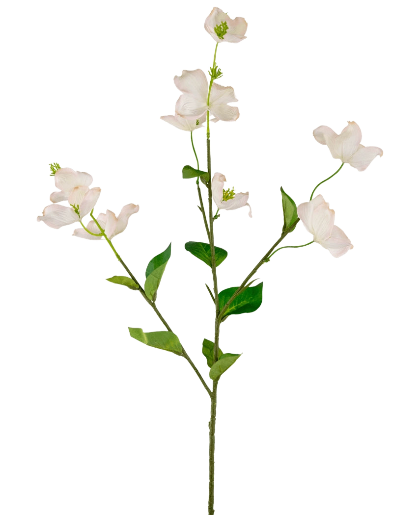 Un seul cornouiller artificiel Real Touch Blanc/rose de 74 cm a des fleurs de cornouiller artificiel rose clair et des feuilles vertes sur une tige longue et mince, sur un fond blanc.