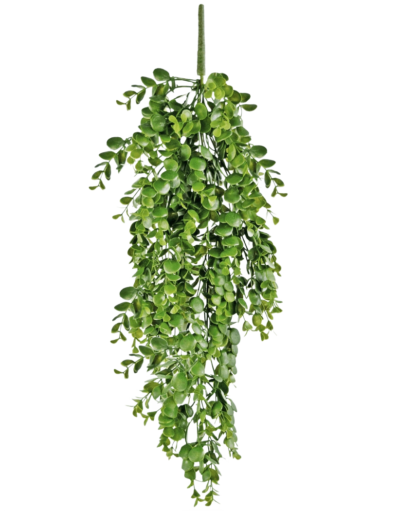 La plante artificielle suspendue Pancake 61 cm a des feuilles artificielles d'un vert vif qui tombent sur un fond blanc uni et ressemblent à une véritable vigne suspendue.
