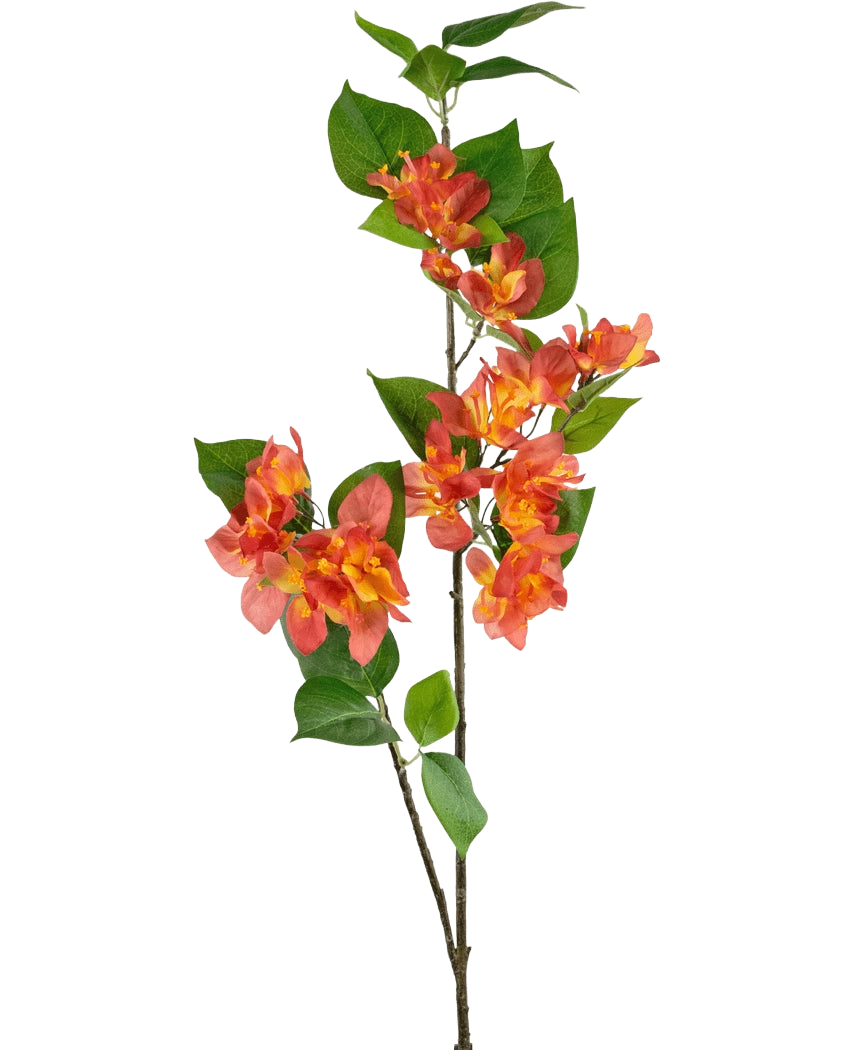 La Branche Artificielle Bougainvillier 81 cm pêche possède une tige unique avec des bouquets de fleurs pêche-orange et jaune, complétées par des feuilles vertes, sur un fond blanc.