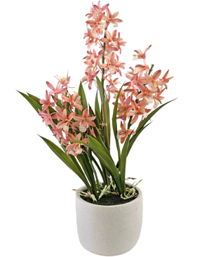 La plante artificielle Cymbidium rose de 58 cm a de hautes feuilles vertes et des grappes de fleurs d'orchidées roses et blanches, disposées dans un simple pot en céramique blanche, parfait pour égayer n'importe quel espace.