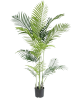 La plante artificielle Phoenix 160 cm est une grande fausse plante avec de fines feuilles vertes sur plusieurs tiges dans un petit pot noir, sur un fond blanc pour un look luxueux - parfaite pour les amateurs de plantes tropicales.
