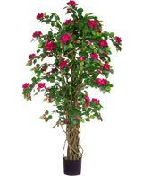 Le bougainvillier artificiel Liana Fuchsia 115 cm présente des feuilles vertes luxuriantes et des fleurs fuchsia vibrantes sur des tiges entrelacées dans un pot noir, ajoutant une ambiance méditerranéenne à n'importe quel espace sur un fond blanc.