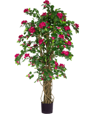 Le bougainvillier artificiel Liana Fuchsia 115 cm présente des feuilles vertes luxuriantes et des fleurs fuchsia vibrantes sur des tiges entrelacées dans un pot noir, ajoutant une ambiance méditerranéenne à n'importe quel espace sur un fond blanc.