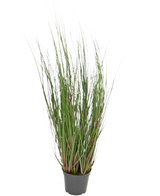 Le Gazon Artificiel Oignon 60 cm ignifuge est une graminée ornementale en pot avec de longs et fins brins verts et quelques tiges rougeâtres, sur un fond uni blanc.