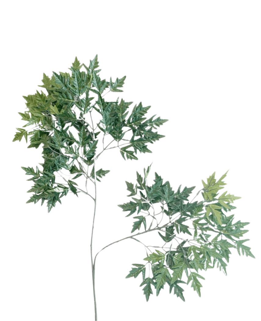 La Feuille Artificielle Ming Aralia 50 cm verte ignifuge est une plante artificielle haute et élancée avec de fines tiges et des bouquets de feuilles vertes aux bords dentelés sur un fond blanc uni.
