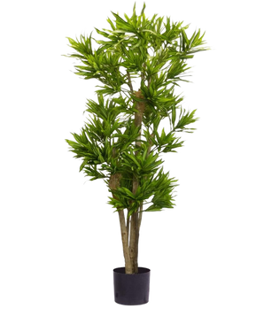 La Plante Artificielle Dracena Reflexa 150 cm est une grande plante artificielle avec de multiples troncs fins et des grappes de longues feuilles vertes fines dans un petit pot noir, sur un fond blanc uni.
