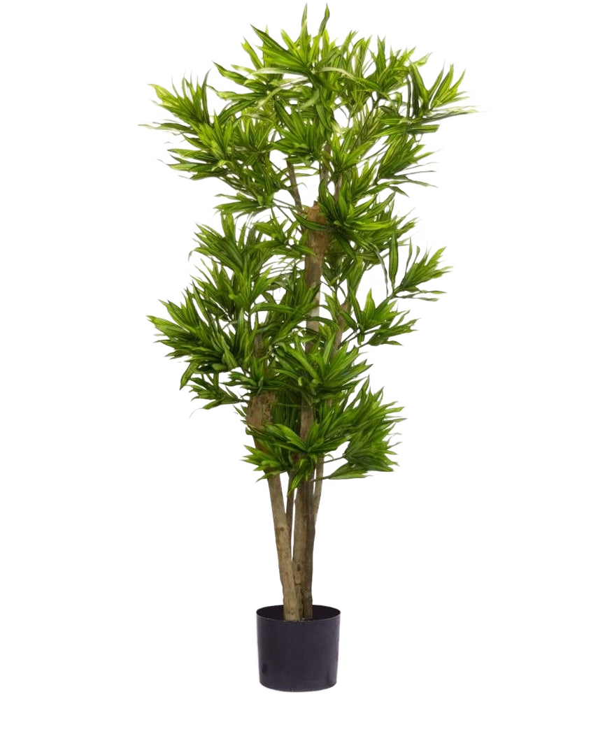 La Plante Artificielle Dracena Reflexa 150 cm est une grande plante artificielle avec de multiples troncs fins et des grappes de longues feuilles vertes fines dans un petit pot noir, sur un fond blanc uni.
