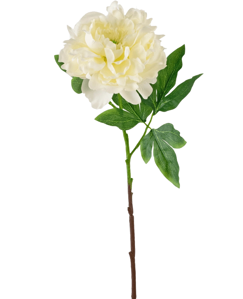 La Fleur Artificielle Pivoine 61 cm blanche est une pivoine blanche artificielle avec des pétales superposés et des feuilles vertes sur une longue tige brune, représentée sur un fond blanc uni.