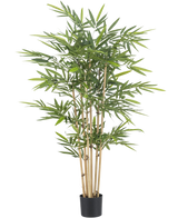 Le bambou artificiel 150 cm ignifuge a de hautes tiges marron clair et des feuilles vertes luxuriantes. Il confère une beauté durable et une sécurité incendie accrue à tout espace intérieur, présenté ici sur un fond blanc uni.