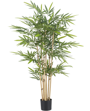 Le bambou artificiel 150 cm ignifuge a de hautes tiges marron clair et des feuilles vertes luxuriantes. Il confère une beauté durable et une sécurité incendie accrue à tout espace intérieur, présenté ici sur un fond blanc uni.