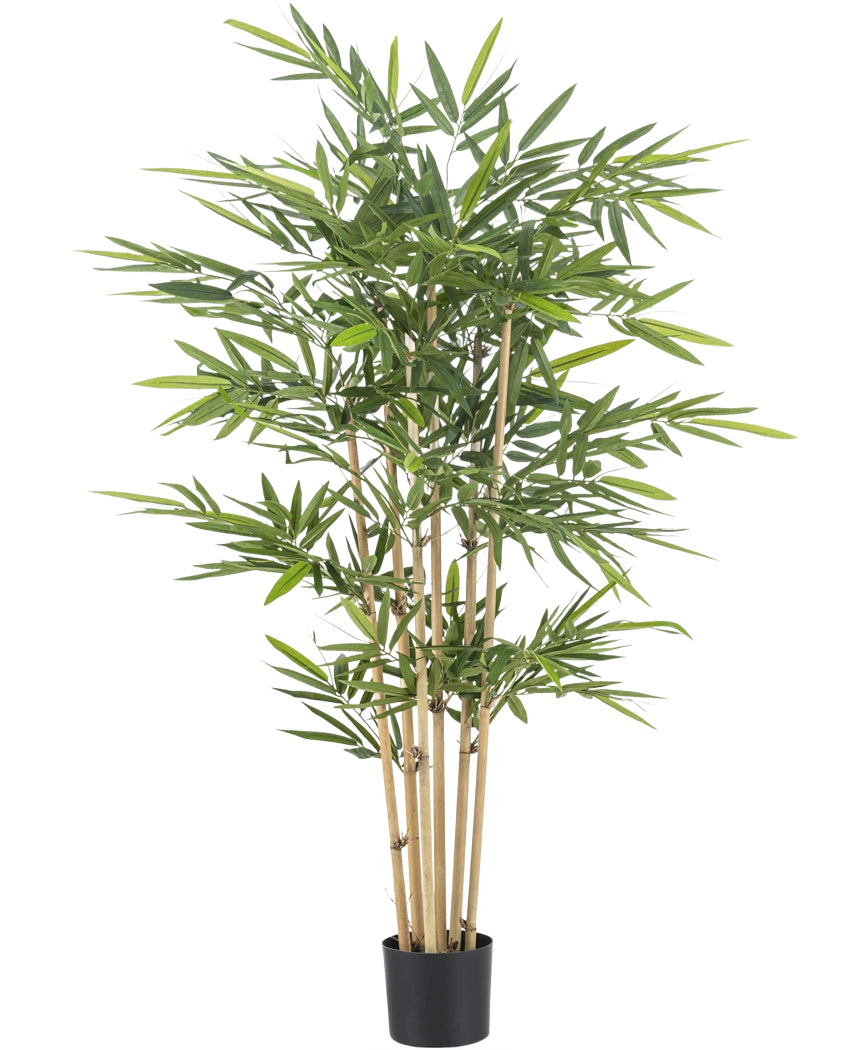 Le bambou artificiel 150 cm ignifuge a de hautes tiges marron clair et des feuilles vertes luxuriantes. Il confère une beauté durable et une sécurité incendie accrue à tout espace intérieur, présenté ici sur un fond blanc uni.