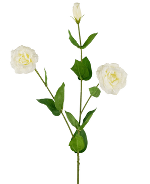 L'Eustoma artificiel Real Touch Blanc 72 cm a une seule tige verte avec deux fleurs blanches ouvertes, un bourgeon fermé et des feuilles vertes luxuriantes, le tout sur un fond blanc uni.