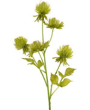 Le chardon artificiel de 66 cm vert a cinq fleurs vertes rondes et vaporeuses et un certain nombre de feuilles dentelées sur une tige artificielle, sur un fond blanc uni.