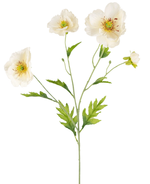 Une illustration botanique de l'Art Poppy Real Touch Crème/Jaune 65 cm montre une tige verte avec de délicates fleurs de pavot crème et jaune et des feuilles vertes luxuriantes sur un fond clair uni.