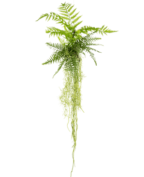 La plante artificielle suspendue Fougère 90 cm a des feuilles de fougère vertes luxuriantes avec de longues tiges traînantes qui pendent sur un fond blanc uni.