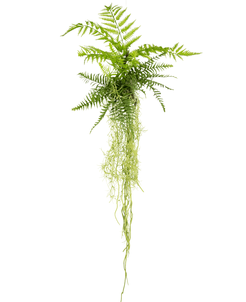 La plante artificielle suspendue Fougère 90 cm a des feuilles de fougère vertes luxuriantes avec de longues tiges traînantes qui pendent sur un fond blanc uni.