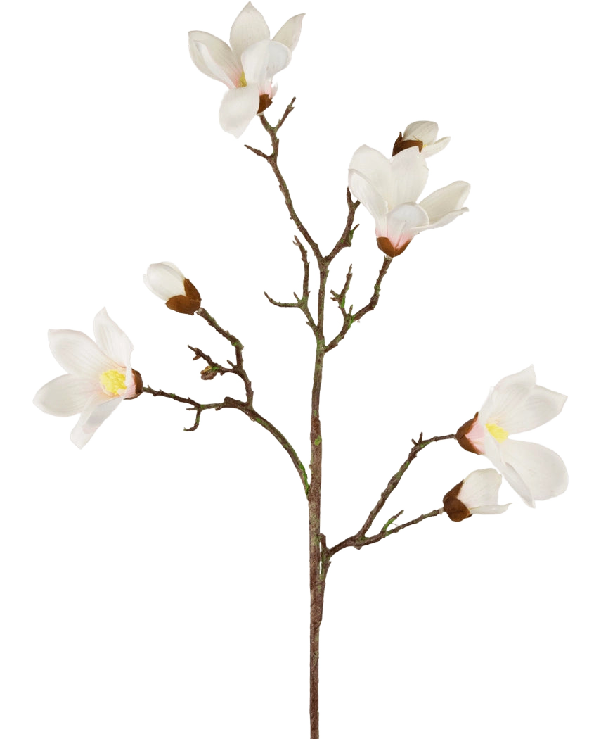 La Branche de Magnolia Artificielle Real Touch Blanc 98 cm a une seule tige brune avec plusieurs branches, chacune avec des fleurs de magnolia blanches et des bourgeons avec un centre jaune, joliment mis en valeur sur un fond blanc uni.