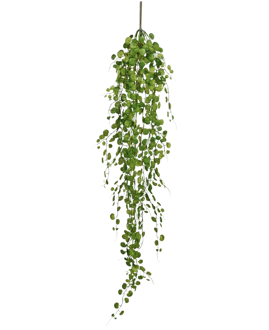 La plante artificielle suspendue Pumila 100 cm possède une longue vigne sinueuse avec de petites feuilles vertes rondes suspendues à une seule tige, sur un fond blanc uni.