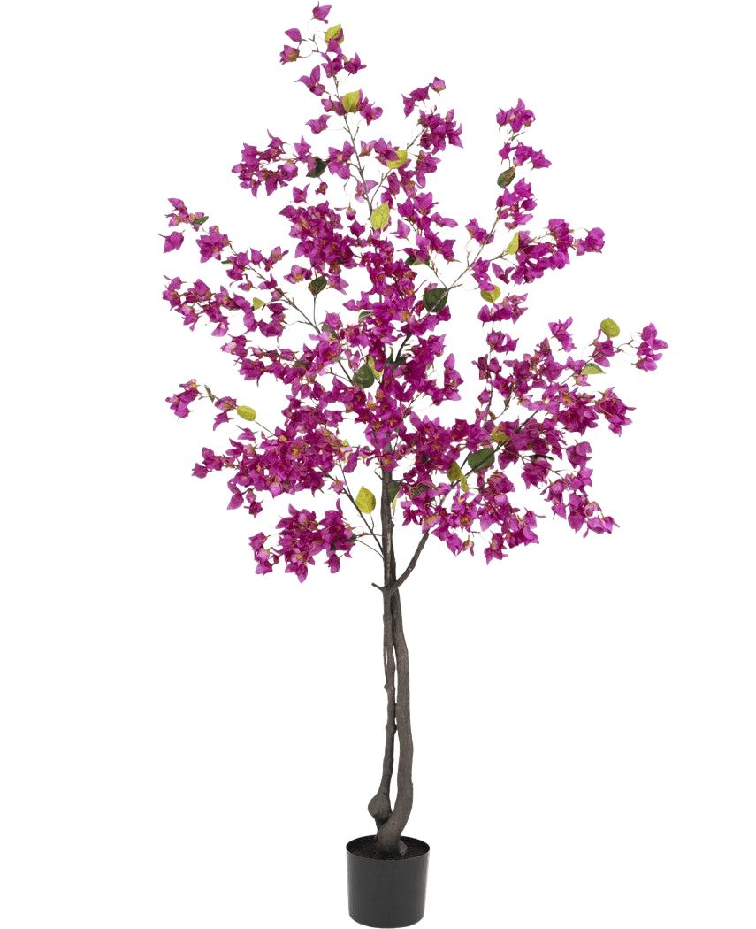 Le bougainvillier artificiel 180 cm violet a des branches sombres, des fleurs violettes éclatantes et des feuilles vertes dans un pot noir - parfait comme plante artificielle colorée pour votre salon.