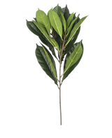 La Feuille Artificielle Cyathistipula 63 cm ignifuge possède une seule branche avec de multiples feuilles vertes allongées de différentes nuances sur une tige fine brune, sur un fond blanc.
