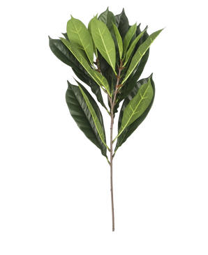 La Feuille Artificielle Cyathistipula 63 cm ignifuge possède une seule branche avec de multiples feuilles vertes allongées de différentes nuances sur une tige fine brune, sur un fond blanc.