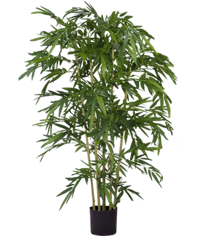 Le Bambou Artificiel 180 cm ignifuge est un grand bambou artificiel avec de fines feuilles vertes et plusieurs tiges fines dans un petit pot noir, représenté sur un fond blanc uni.