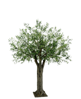 L'olivier géant artificiel avec olives de 250 cm a un tronc épais et texturé et des feuilles vertes denses et fines et apporte le luxe méditerranéen sans entretien sur un fond blanc simple.