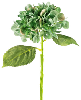 L'hortensia artificiel Deluxe 33 cm vert foncé a un seul hortensia vert à longue tige avec deux grandes feuilles et une grappe de pétales rondes, sur un fond blanc uni.