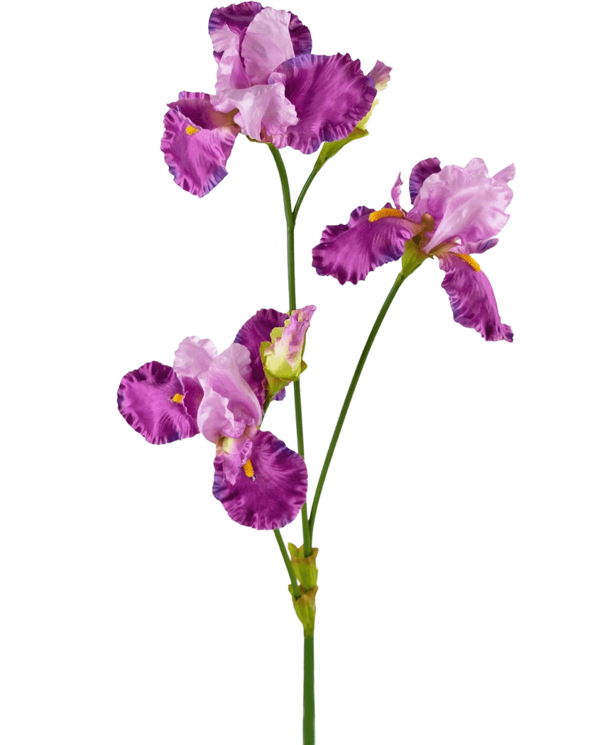 La fleur artificielle Iris 102 cm violet a une longue tige verte décorée de plusieurs fleurs d'iris violettes et blanches vibrantes, chacune avec des volants sur les pétales et des accents jaunes, sur un fond blanc uni.